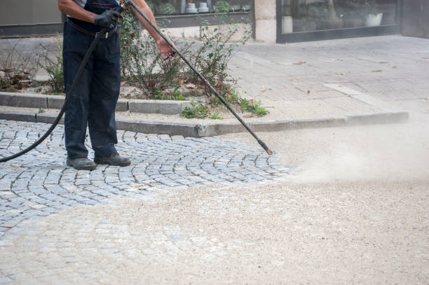 Best Driveway Pressure Washing  in Crawfordville, FL